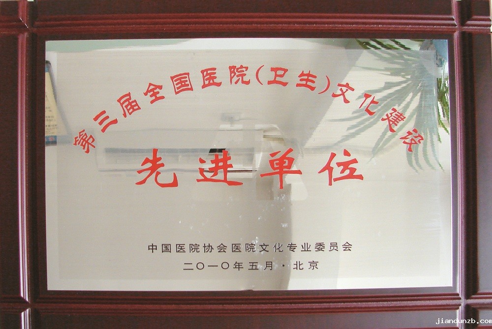 2010年 全国文化建设先进单位